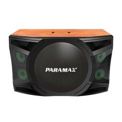 Loa Paramax P-2500
