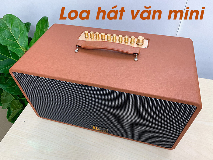 Loa hát văn mini